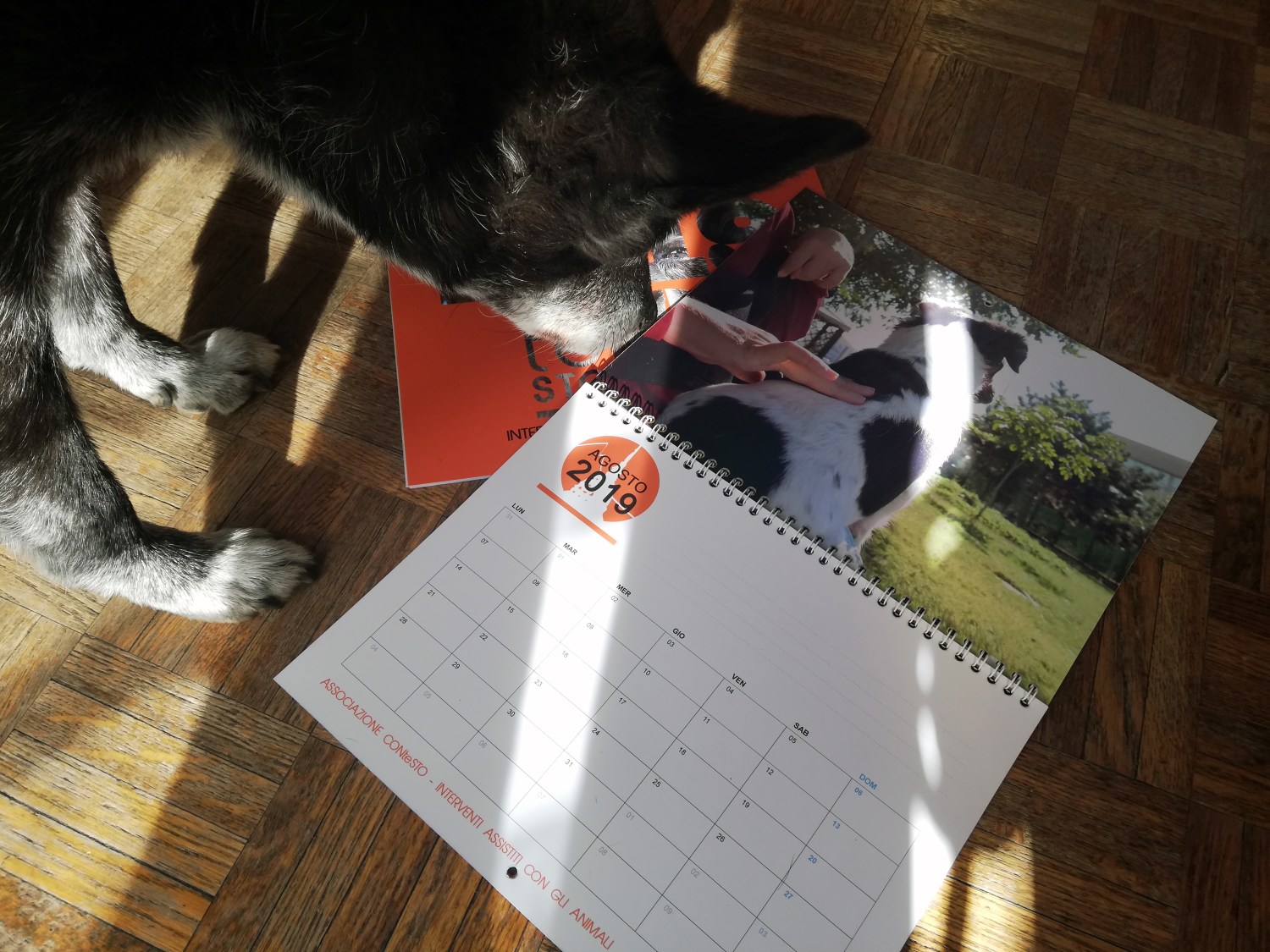 Calendario CONteSTO 2019